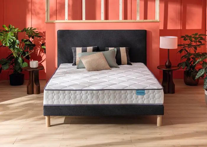 CHEER BED