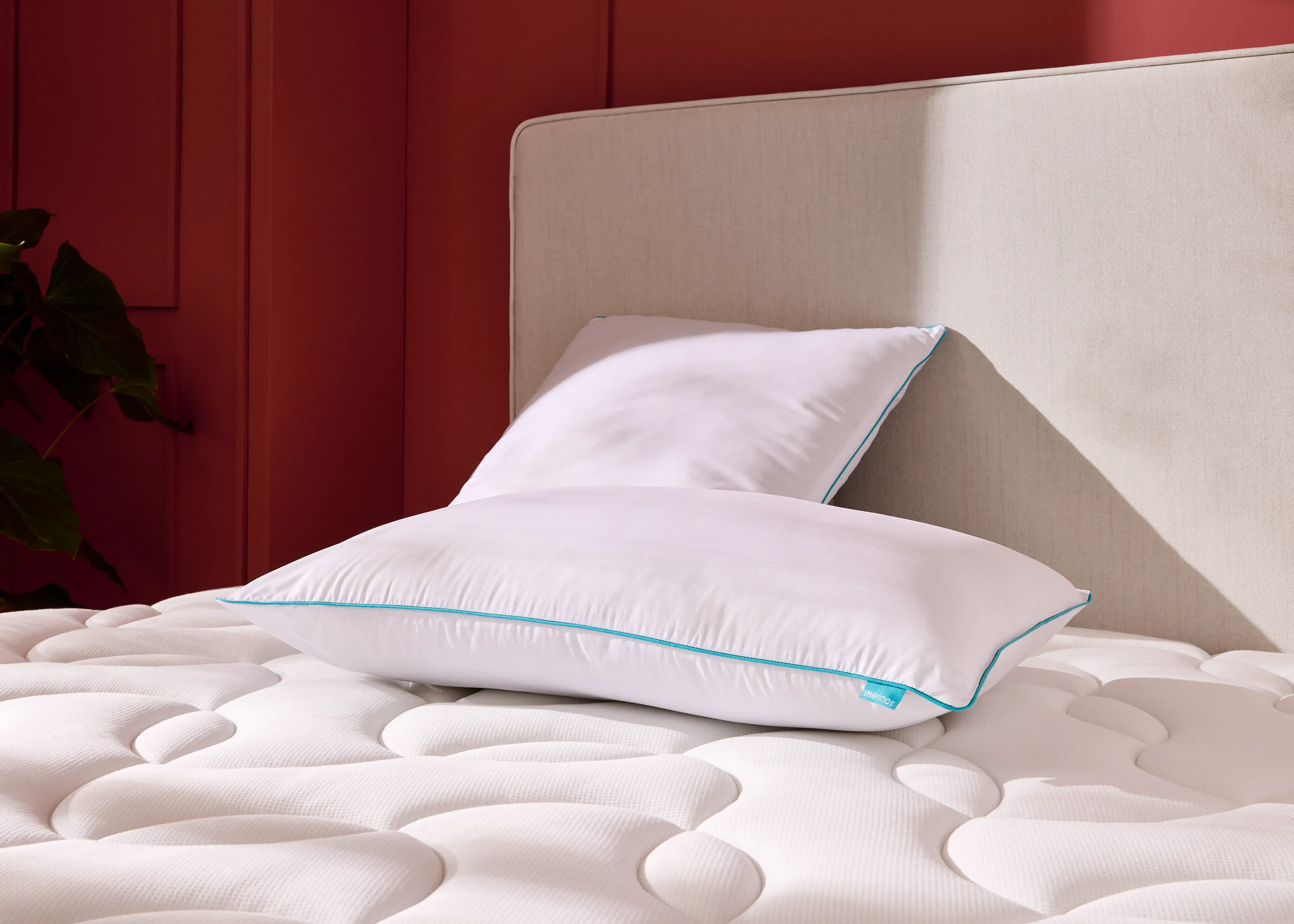 L&#039;OREILLER COCOON